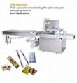 DZP-250F/400F Fully automatic lower feeding film pillow-shaped packaging machine 1