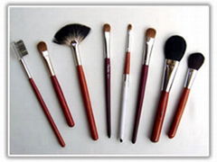 cosmetic brush