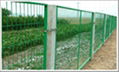 wire mesh fence 2