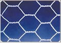 hexagonal wire netting 1