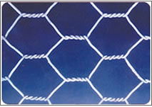 hexagonal wire netting