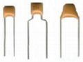 Ceramic Capacitor 1