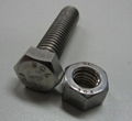 Stainless steel hex nut & bolt 1