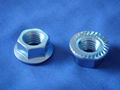 Hex Flange Nut(DIN6923) 3