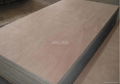 Okoume Plywood