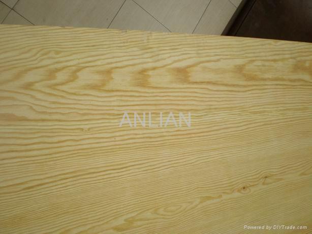 Pine Plywood 