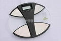 body fat and water scale 1