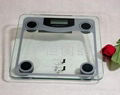 health scale,bathroom scale