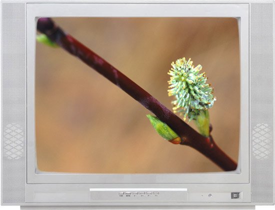 14"-34" CRT Color TV Television 2