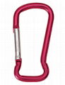 CARABINER 1