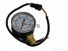 CNG pressure gauges