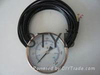 CNG pressure gauge