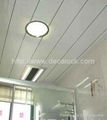 PVC Ceiling panel 2