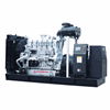 Diesel Generator Sets