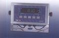 Weighing indicator-PA8101S 1