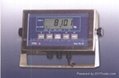 weighing  indicatorPA8101BS 1