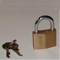 #4105 Brass Padlocks Triangle Lock Face.