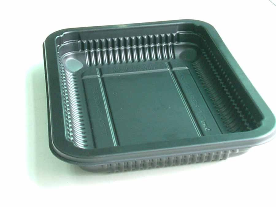 Plastic Paper Disposable Trays/Plates