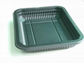 Plastic Paper Disposable Trays/Plates 1