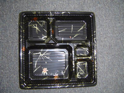 Plastic Paper Disposable Trays/Plates 2