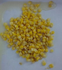 Canned Sweet Corn