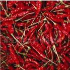 dried chilli