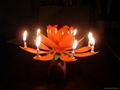 Music flower birthday candle