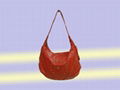 ladies handbag