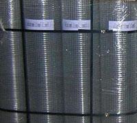 Welded wire mesh 