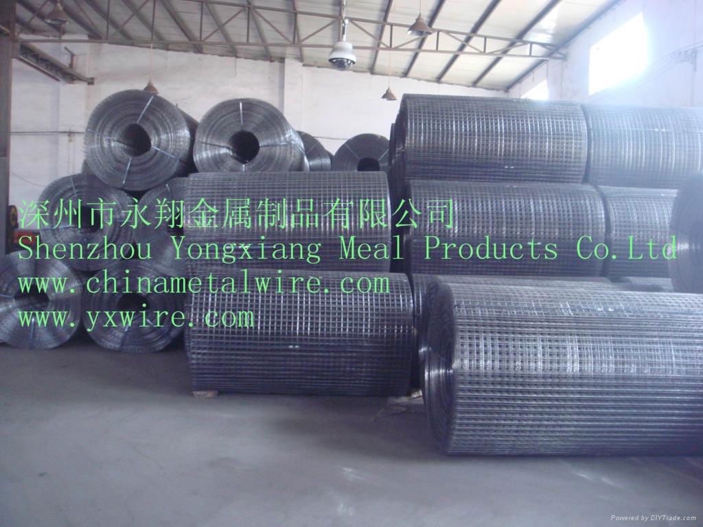 Welded wire mesh  2