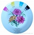 4 Colors Printing On-glaze Ceramic