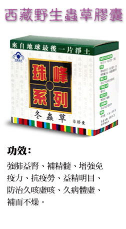 Cordyceps Capsules (Tibet Natural Product) 2