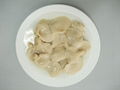 Canned White Oyster Mushroom