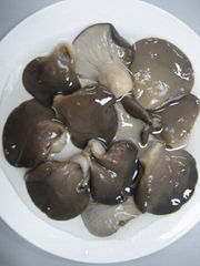 Canned Black Oyster Mushroom