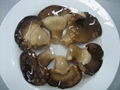 Canned Abalone Mushroom