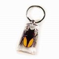 insect keychain