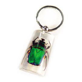 insect keychain 2