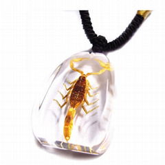 insect amber necklace