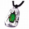 insect amber necklace 4