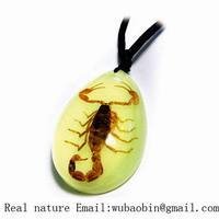 insect amber necklace