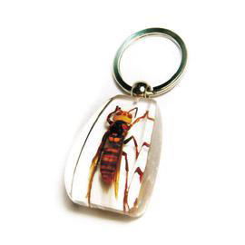 insect jewelry 4