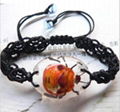 insect bracelet  1