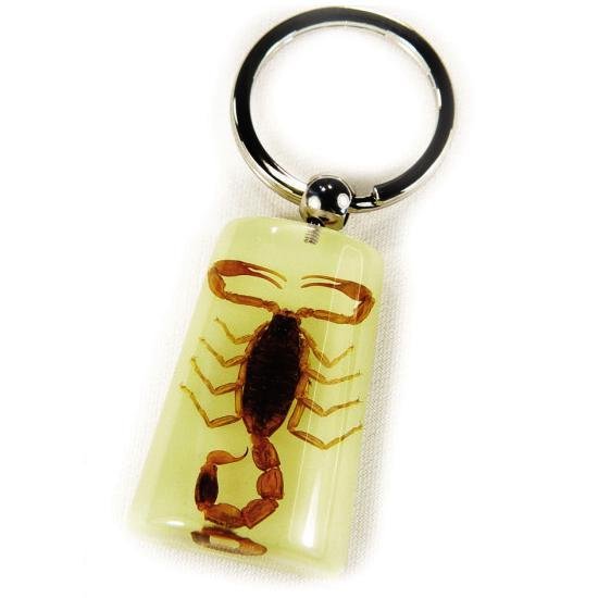 insect keychain 5