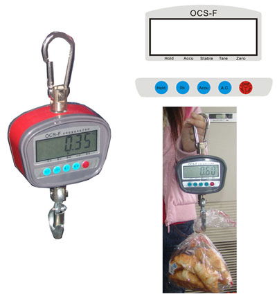 portable crane scale