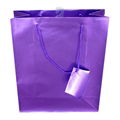 shopping paper bag 1