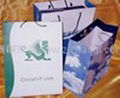 paper packaging bag 3