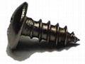 self-tapping screw