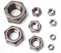 Hexagonal Nut 1