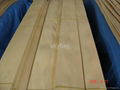 Golden Birch veneer