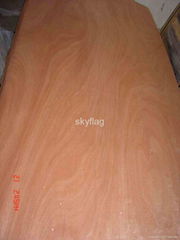 Rotary cut Okoume veneer